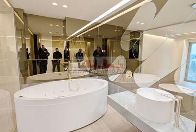 Innhiriere Penthouse Iancu Nicolae Gradina Zoologica - 27