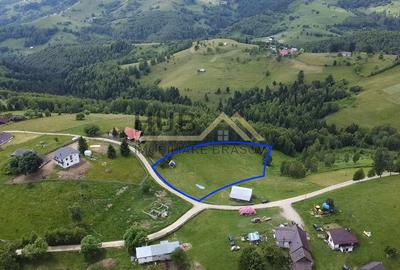 Teren Construcții intravilan de 4649 mp, în Moieciu