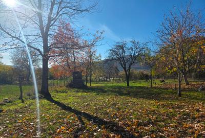 Teren intravilan in Buzau, sat Tega, 3300 mp - 1