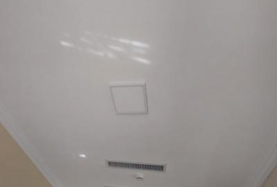 Ultracentral - cladire emblematica D+P+1+M, 430 mp., curte 200  mp. - 21