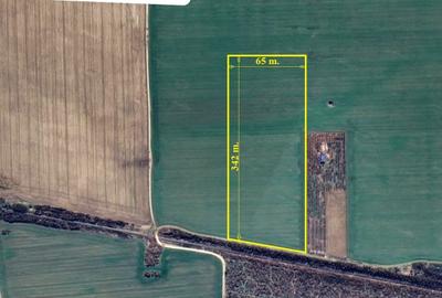 GRADISTEA - Sat Sitaru, Tarla 43, vanzare 22.200 mp. teren cu acces din DJ101 - 1