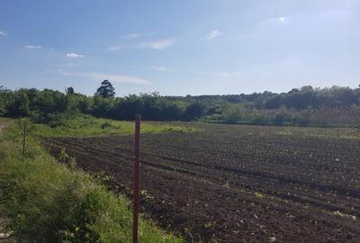 Teren Construcții intravilan de 977 mp, în Ciolpani