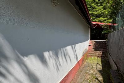 Sinaia Strada Cerbului - 43