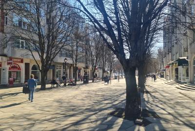 Spațiu comercial - Esplanada Costache Negri (Hala Centrala) - 1