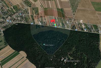 Teren intravilan, 752 mp, Bolintin-Deal, Giurgiu - 3