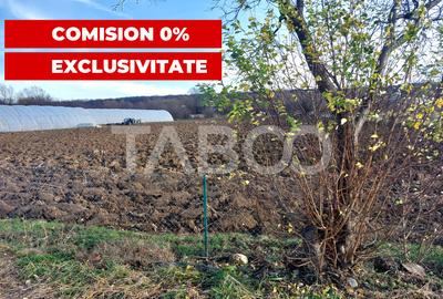 Teren intravilan 1687 mp pentru cabana zona de gradini Cisnadie - 1