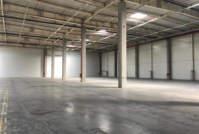 Inchiriere depozit/hala/spatiu industrial Popesti Leordeni-DN4-A0 - 12