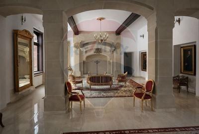 Palatul Stirbei - Darmanesti - 7