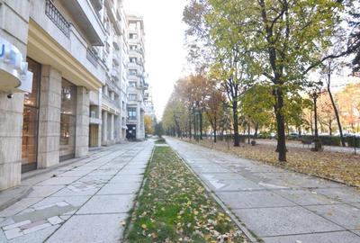Inchiriere apartament 2 camere zona Unirii - 12
