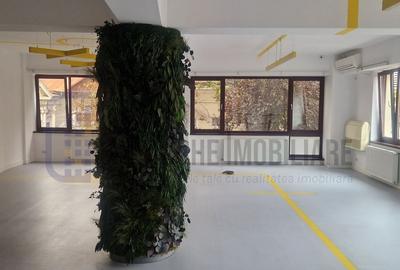 Vila P+2, suprafata 380 mp, Principatele Unite, Piata Unirii - 8