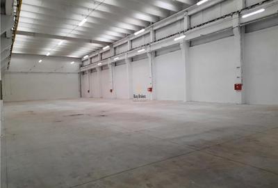 Spatiu Industrial - 1500 mp - Productie - Depozitare - Distributie - 5
