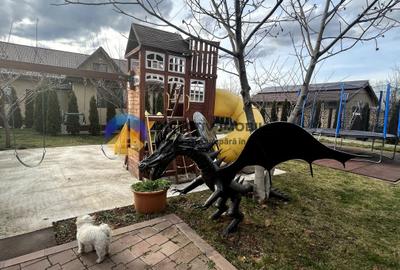 Proprietate deosebita Dva.Rosie - Neamt - 6