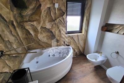 Penthouse de lux,cu 3 camere,terasa 70 mp,nou,Calea Lipovei - 7