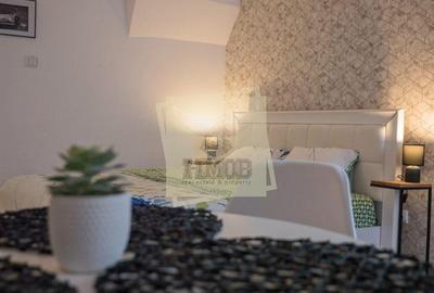 Studio pretabil regim hotelier in zona Centrala Sibiu - 3