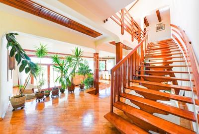 Vila/Proprietate Speciala, 500mp utili, 3300mp teren, Sangeorgiu de Ms - 1