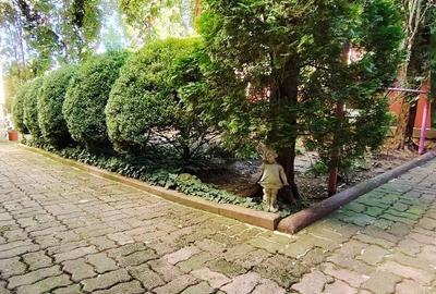 Apartament rustic, deosebit de 98 mp,  cu gradina, in Andrei Muresanu - 18