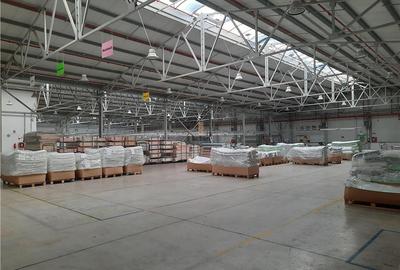 Spatiu Industrial - 6500 mp - Productie - Depozitare - 6