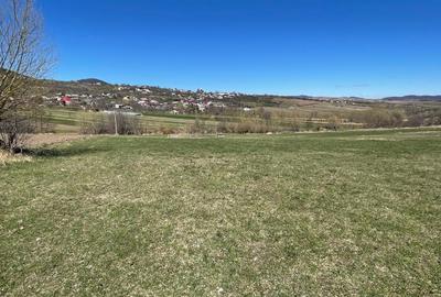 Case de vacanta de vanzare in Agapia, Neamt. Venit pasiv. - 4