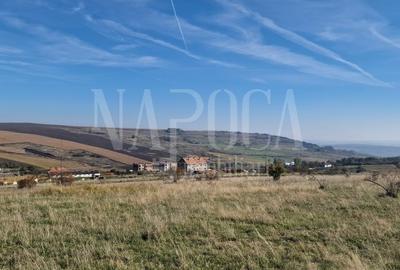 Teren extravilan agricol de vanzare in Iris, Cluj Napoca - 6