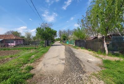 Teren 11.000 mp | Gradistea | Oportunitate Dezvoltare - 7
