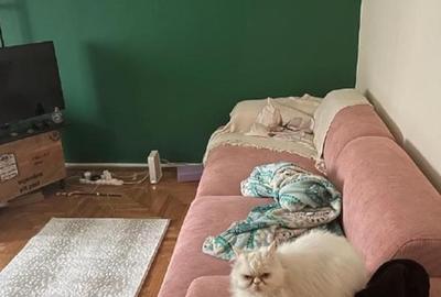 Apartament 2 camere, chiar pe strada Dorobanți  – luminos, spațios, etaj 1 - 7