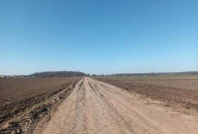 Teren Construcții intravilan de 500 mp, în Ordoreanu