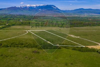 Teren extravilan 13,800mp Rasnov / Traseu Via Transilvanica - 4