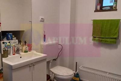 Săbăreni, casă 2011, P+M 4 camere + dependințe, curte 500 mp - 7