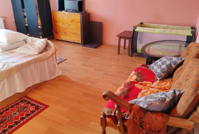 Casa 7 camere libera la vanzare SATU NOU - 10