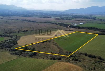 Teren Construcții extravilan de 29300 mp, în Glăjărie