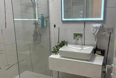 APARTAMENT DE LUX-IN APROPIEREA MĂNĂSTIRII ANTIM - 8