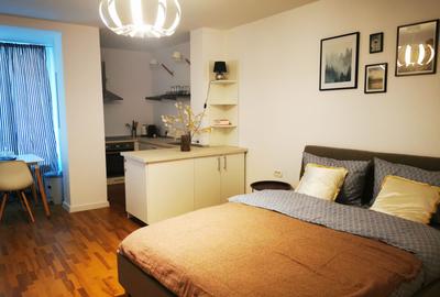 Apartament 1 camera Bulevardul Take Ionescu / Medicina ! - 8
