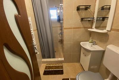 Casa tip duplex de inchiriat in Cristesti - 10