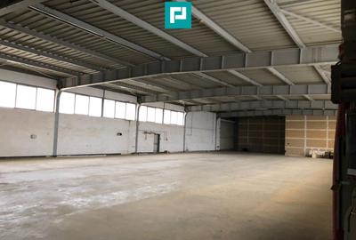 Hală cu teren intravilan de 3500 mp, în Sebiș Arad - 4