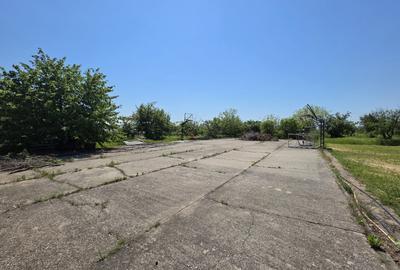 Oportunitate Rară în Ciorogârla– 8.000 mp Teren | Dublu Acces Asfaltat - 16