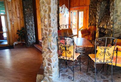 CASĂ DE VACANȚĂ – LEPȘA| 804 MP UTILI | 14 CAMERE | TEREN 1.857 MP - 12