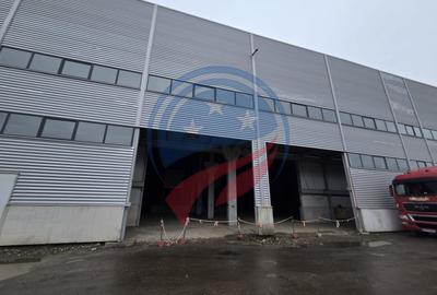 Hală industrială nouă – oportunitate investiție | Vidrasău, Mureș - 6