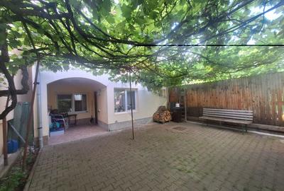 Imobil cu curte , casa plus parter de casa in zona Sub Arini - 2