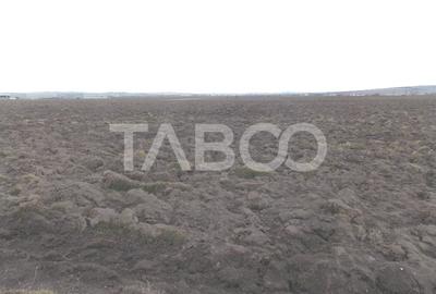 Teren intravilan de vanzare 10.000 mp in zona Industriala Vest Sibiu - 5