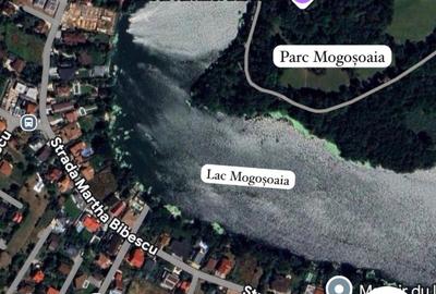 Teren Mogoșoaia - lângă lac - Martha Bibescu - 1