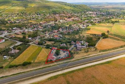 Spațiu industrial cu potential de vanzare in Paulis,Arad - 25