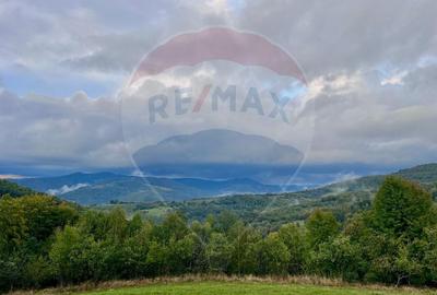 Teren 7,350mp Bulz / Drumul Secundar - 1