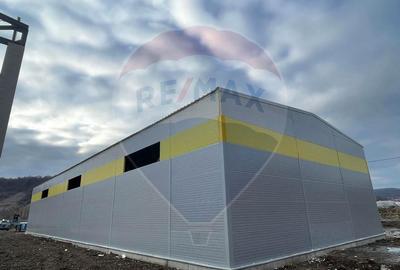 Hala industriala, de vanzare - 600 mp utili, 1200 mp teren - 3