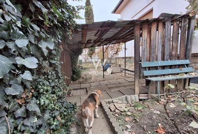 Casa de vanzare in Sibiu, birouri, clinica ,Parcul Sub Arini - 19