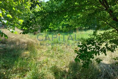 Teren intravilan construibil - 4