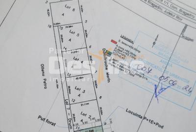 Teren intravilan 459mp, utilitati in apropriere, Bragadiru - 5