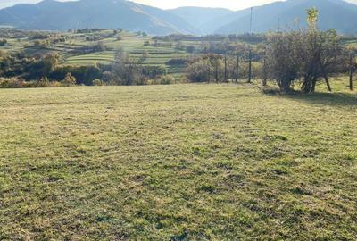 O oportunitate care îți atinge sufletul: Teren de vis la ieșirea din Rășinari - 3