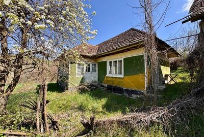 Casa traditionala,zona pitoreasca,domeniu de 3.400 mp,Suveica,Acatari,Mures - 17