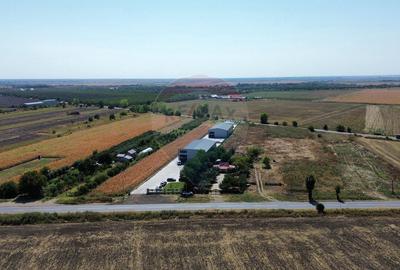 Teren 8347mp intravilan Focsani / DN 25 Soseaua Galati - 7