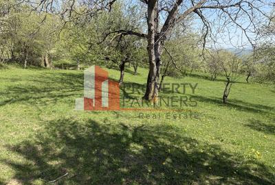 Terenuri Bran - Predelut  Priveliște către Bucegi și Postăvaru - 7